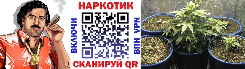 Где продают наркотики Знаменск МАРИХУАНА КОКАИН МЕТАДОН Меф мяу мяу