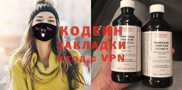 хмурый Снежногорск