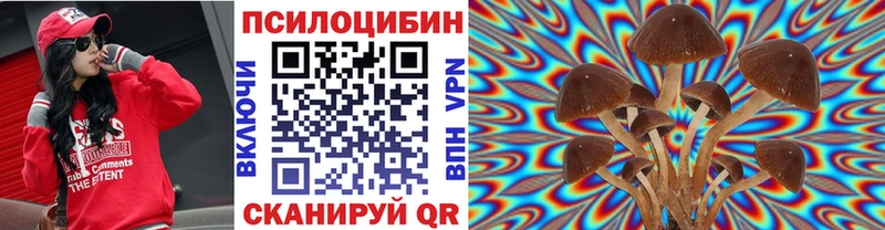 Псилоцибиновые грибы мицелий  хочу   Знаменск 